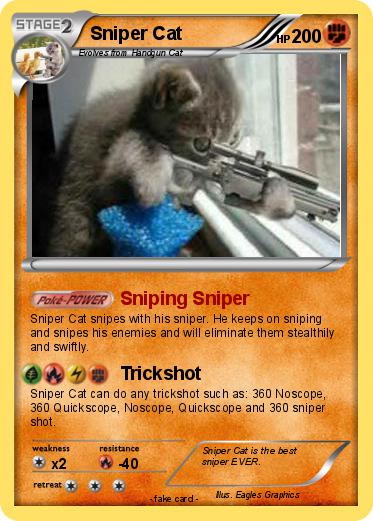 Pokemon Sniper Cat