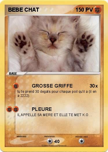 Pokemon BEBE CHAT