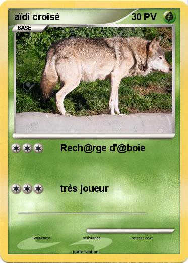 Pokemon aïdi croisé