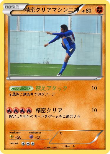 Pokemon 精密クリアマシン二神