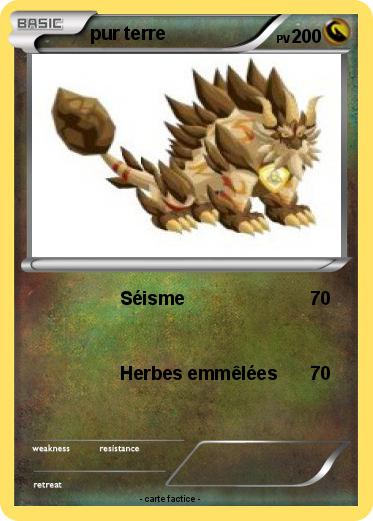Pokemon pur terre