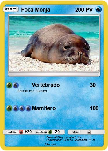 Pokemon Foca Monja