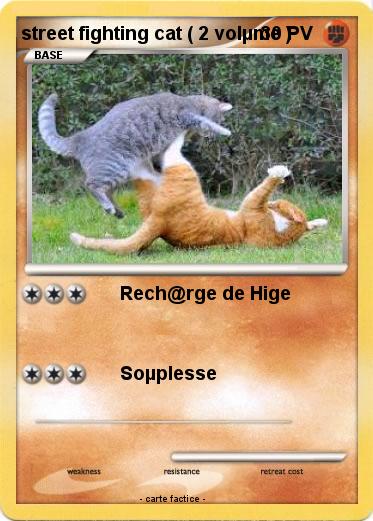 Pokemon street fighting cat ( 2 volµme )