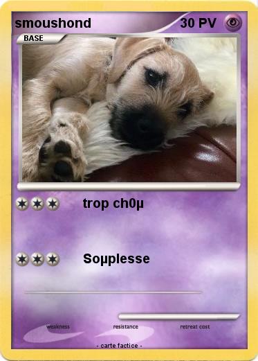 Pokemon smoushond