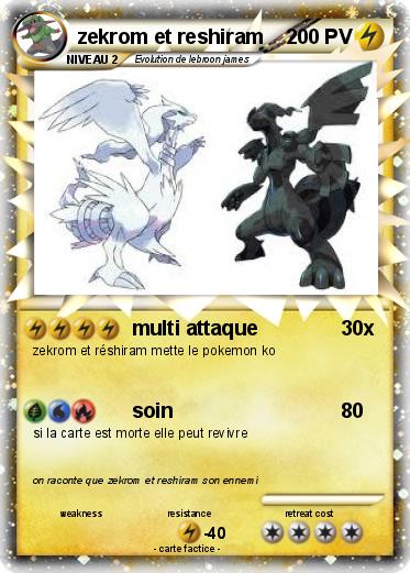Pokemon zekrom et reshiram