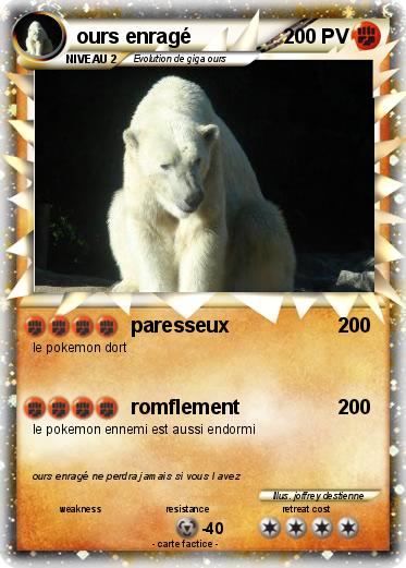 Pokemon ours enragé