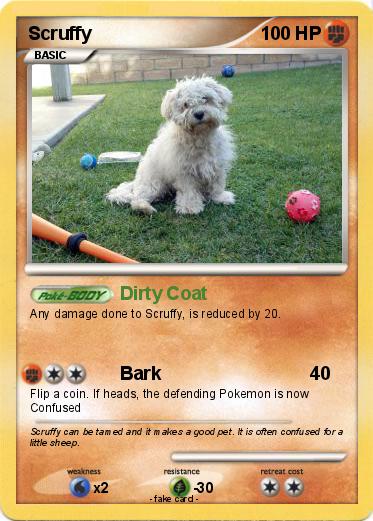 Pokemon Scruffy