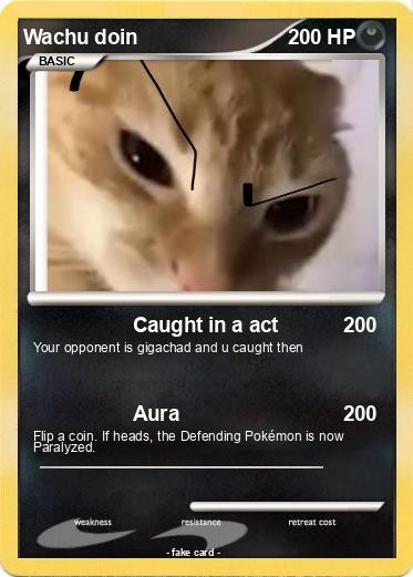 Pokemon Wachu doin