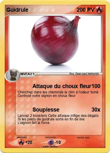 Pokemon Guidrule