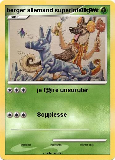 Pokemon berger allemand superintelligent