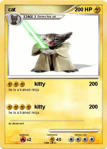 Pokemon cat