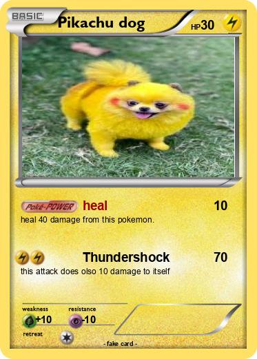 Pokemon Pikachu dog