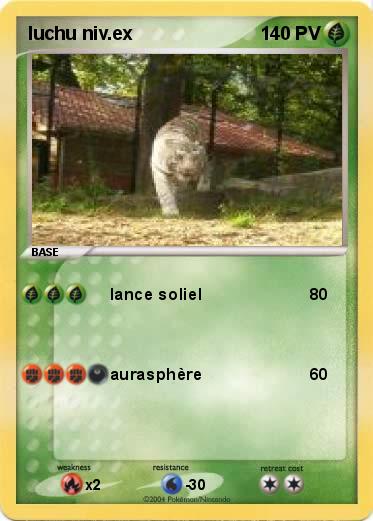 Pokemon luchu niv.ex