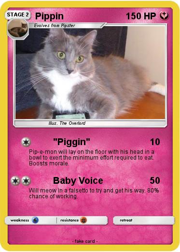 Pokemon Pippin