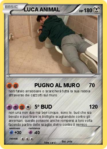 Pokemon LUCA ANIMAL