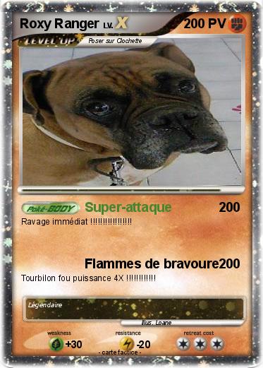 Pokemon Roxy Ranger