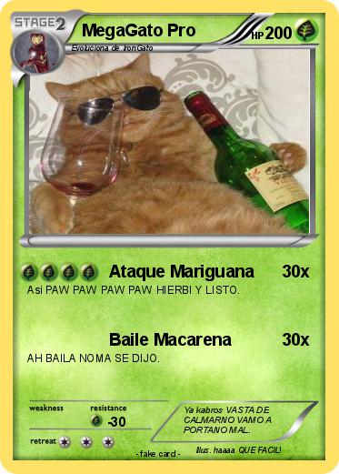 Pokemon MegaGato Pro