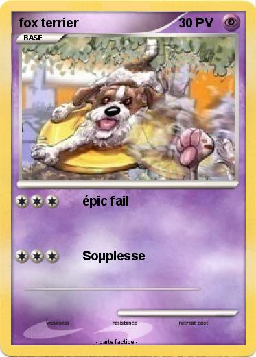 Pokemon fox terrier
