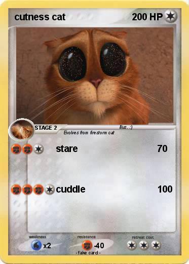 Pokemon cutness cat