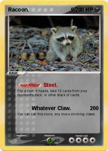 Pokemon Racoon.                            9