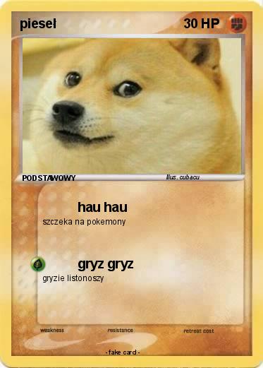 Pokemon pieseł
