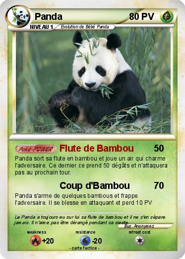 Pokemon Panda