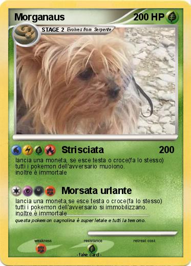 Pokemon Morganaus
