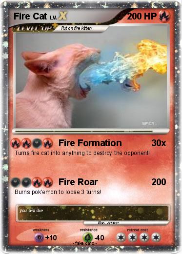 Pokemon Fire Cat