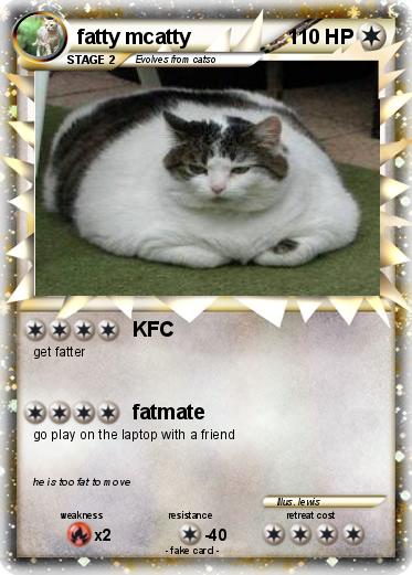 Pokemon fatty mcatty
