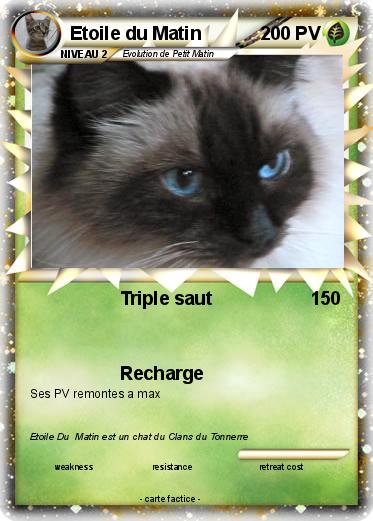 Pokemon Etoile du Matin