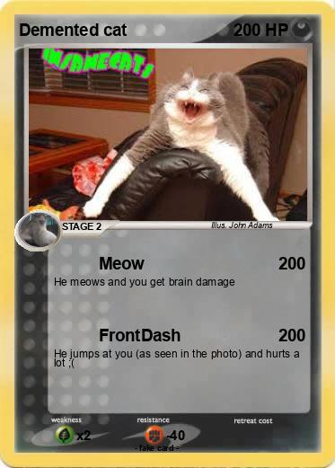 Pokemon Demented cat