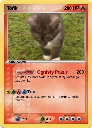 Pokemon Tofik