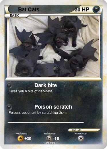 Pokemon Bat Cats