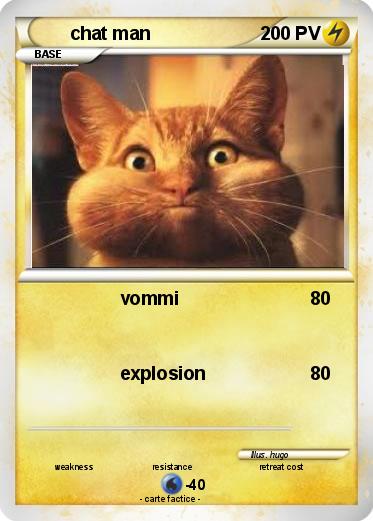 Pokemon chat man