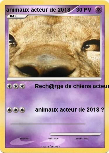 Pokemon animaux acteur de 2018