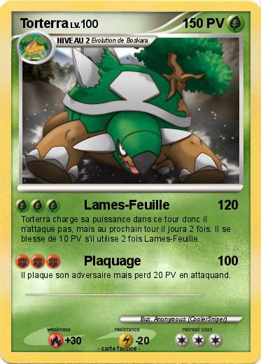 Pokemon Torterra