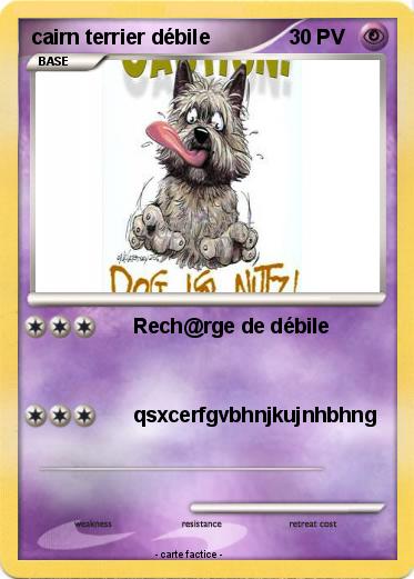 Pokemon cairn terrier débile