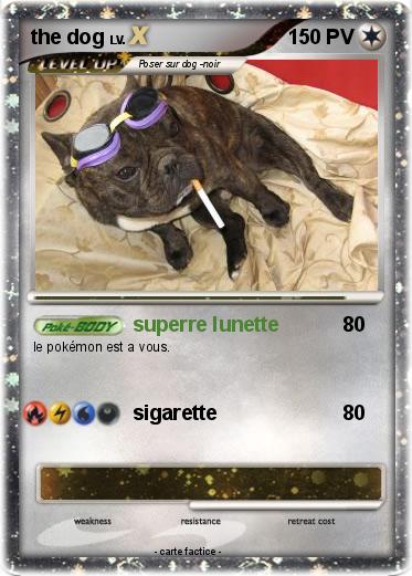 Pokemon the dog