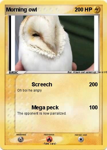 Pokemon Morning owl