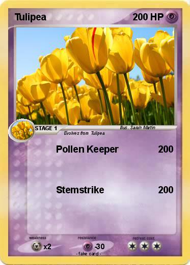 Pokemon Tulipea