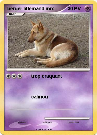 Pokemon berger allemand mix