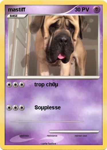Pokemon mastiff