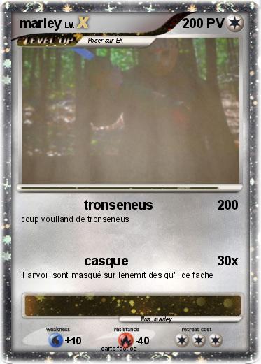 Pokemon marley