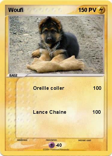 Pokemon Woufi