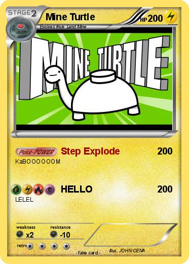 Pokemon Mine Turtle