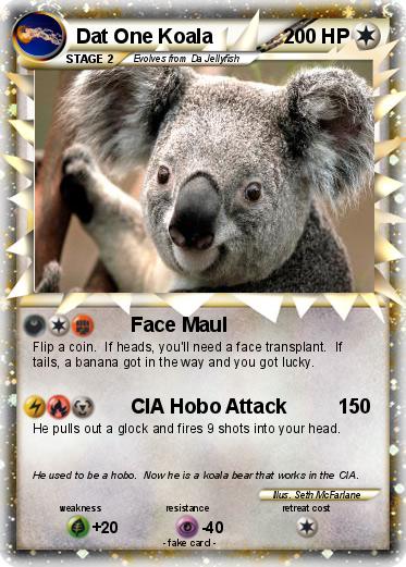 Pokemon Dat One Koala