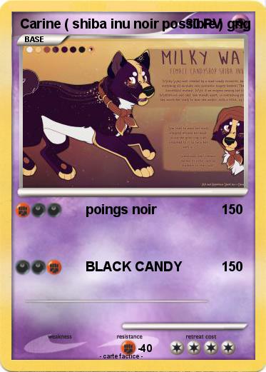 Pokemon Carine ( shiba inu noir possible ) gng