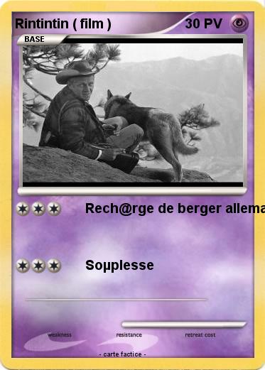 Pokemon Rintintin ( film )