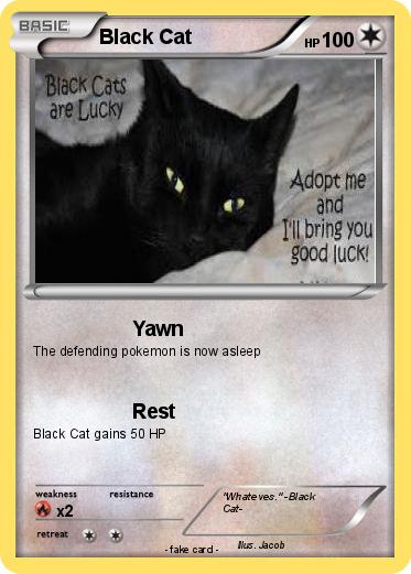 Pokemon Black Cat