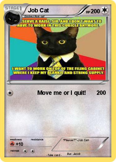 Pokemon Job Cat